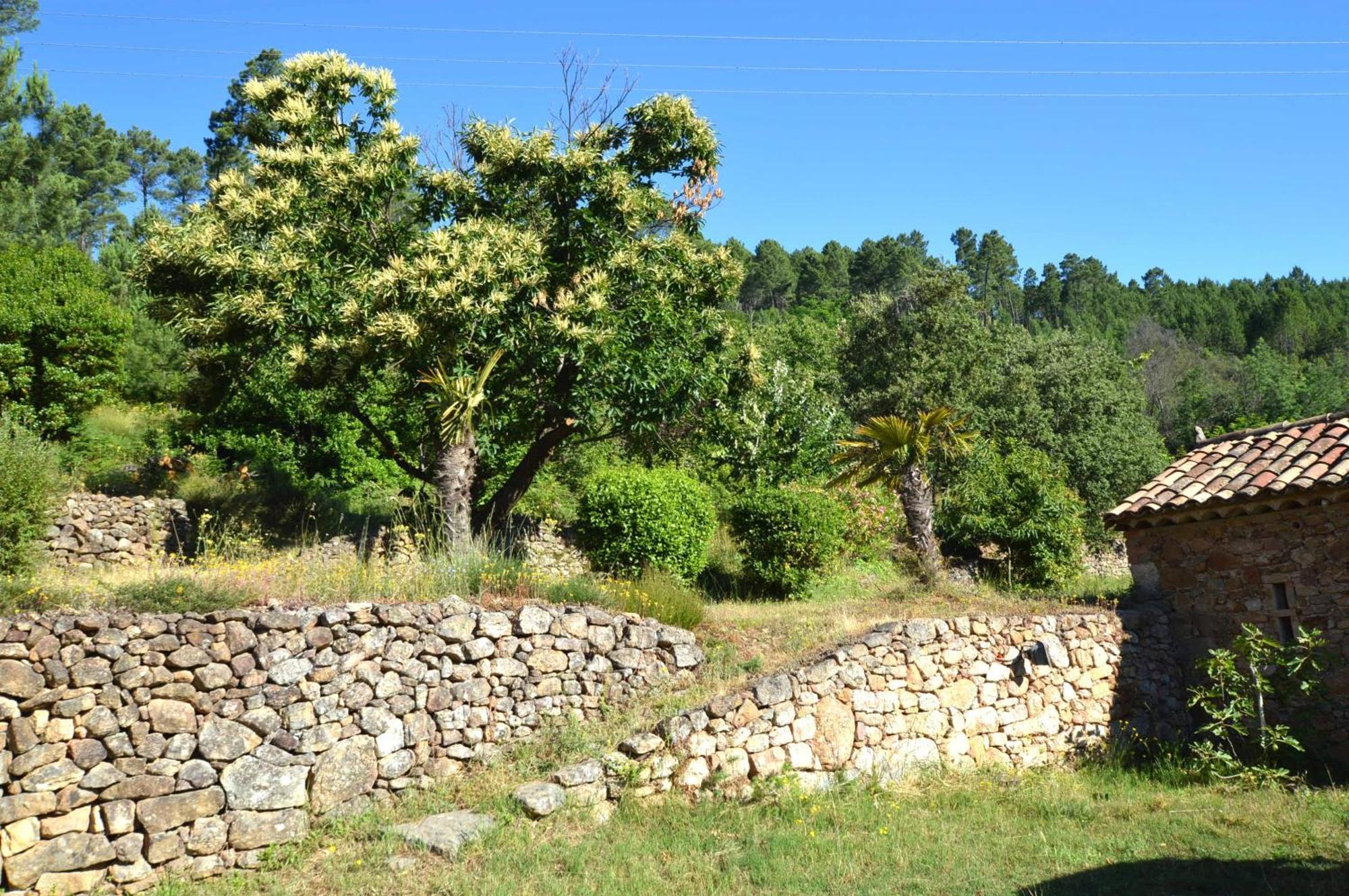 Mas Des Druilles Bed & Breakfast Generargues Eksteriør bilde